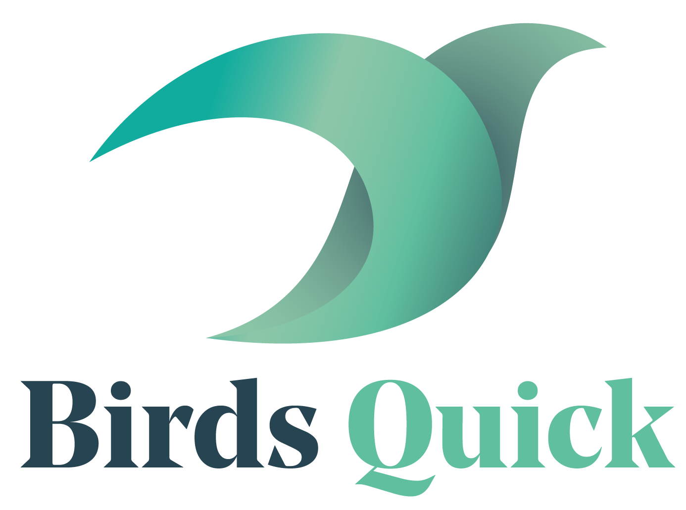 Birds Quick logo