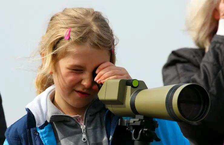 What Are Bird Watchers Called?